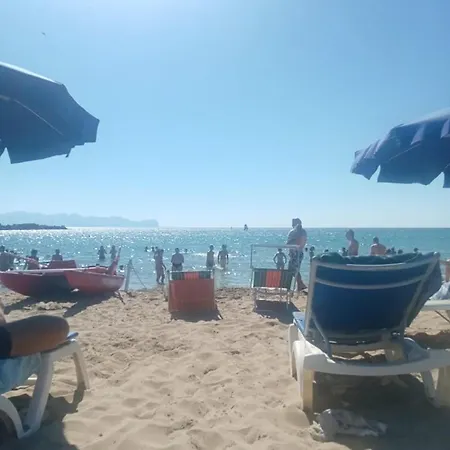 Conchiglia Azzurra *